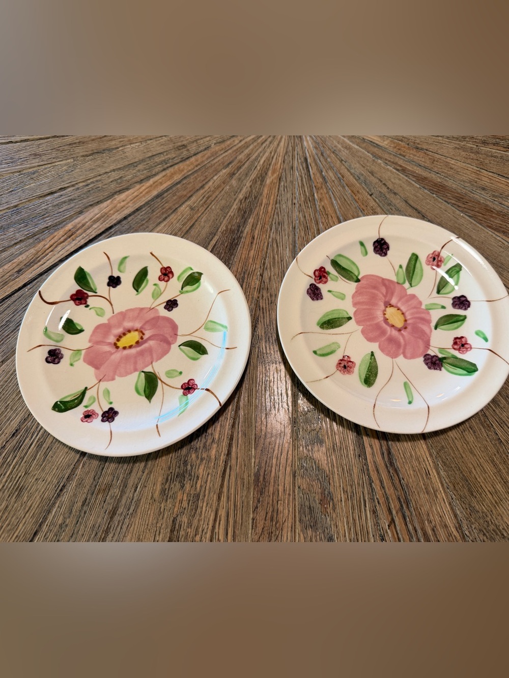 Pair of Blue Ridge Pottery vintage plates pink hand painted Southern Cottage